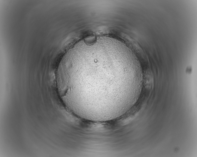 X0000093510523200710261200