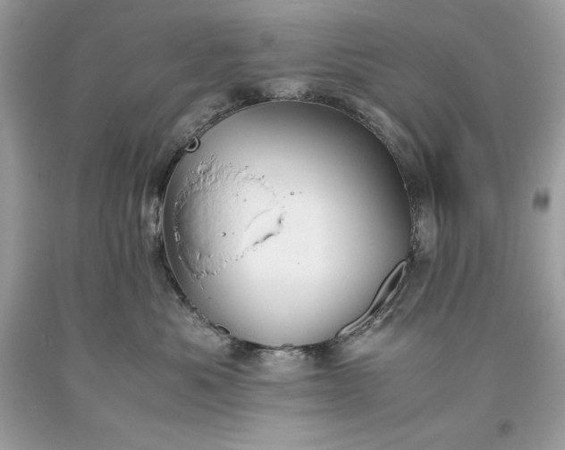 X0000093510525200710261200