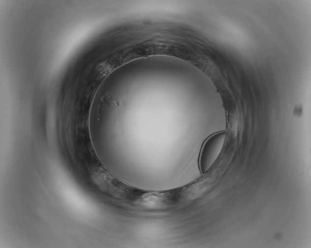 X0000093510526200710261200