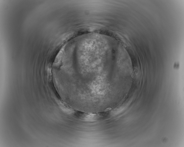 X0000093510527200710261200