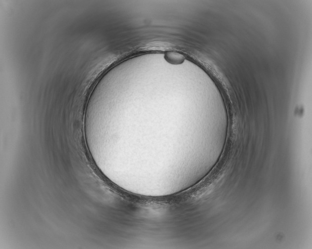 X0000093510529200710261159