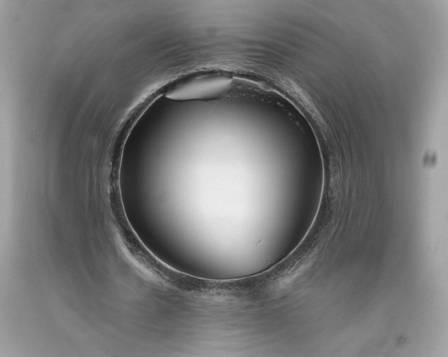 X0000093510530200710261159