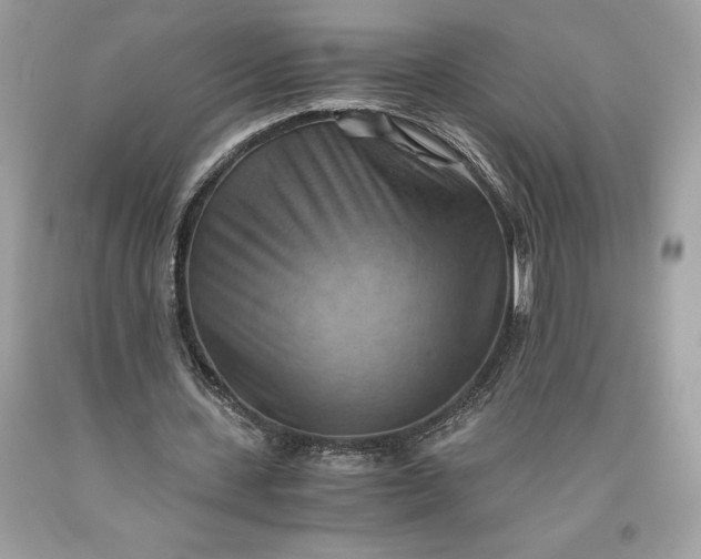 X0000093510531200710261159