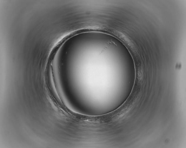 X0000093510532200710261159