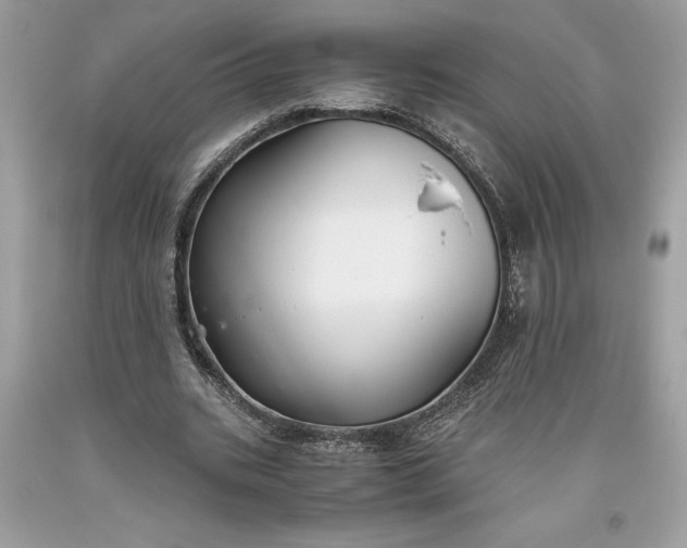 X0000093510535200710261159