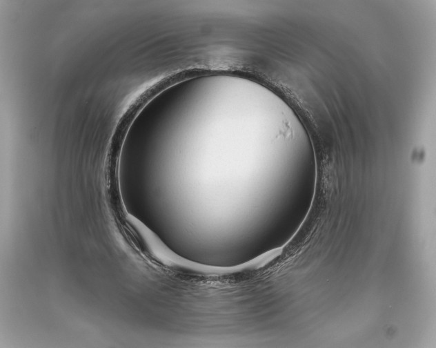 X0000093510536200710261159