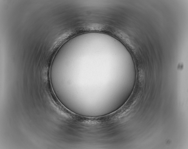 X0000093510537200710261159