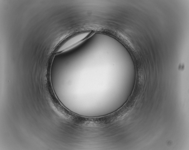 X0000093510538200710261159