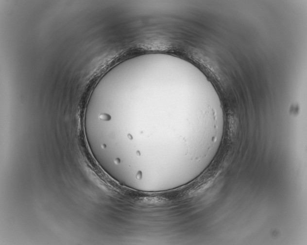 X0000093510541200710261159