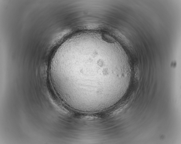 X0000093510542200710261159