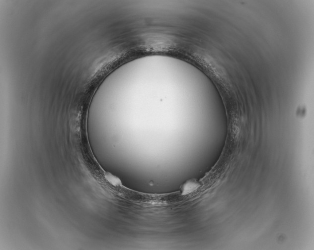 X0000093510543200710261159