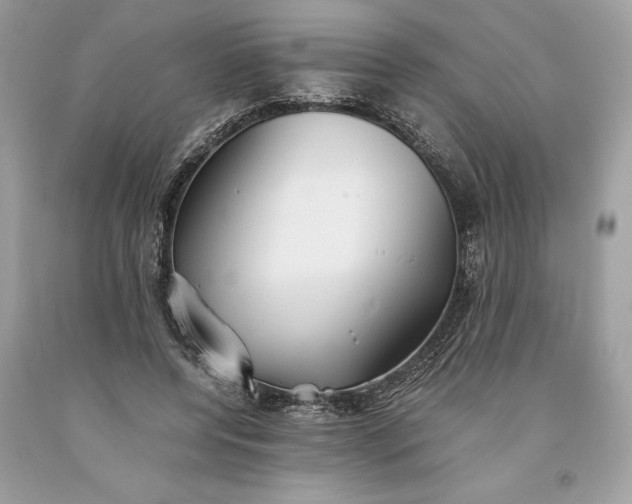 X0000093510544200710261159