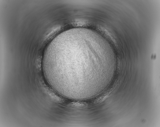 X0000093510545200710261159