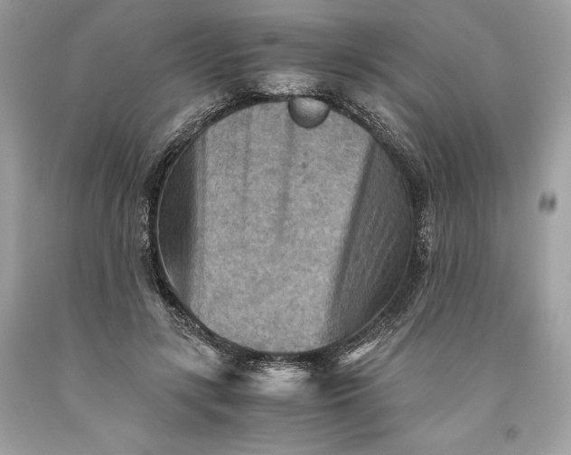 X0000093510547200710261159