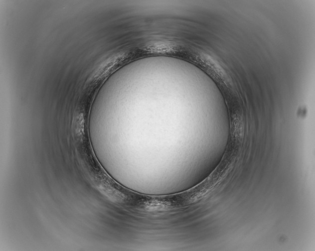 X0000093510549200710261159