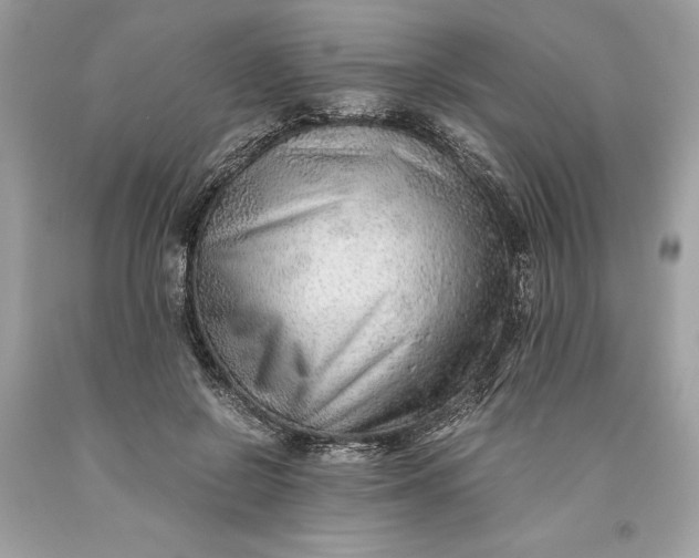 X0000093510550200710261159