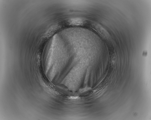 X0000093510551200710261159