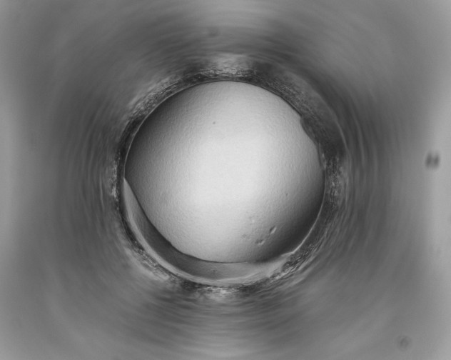 X0000093510552200710261159