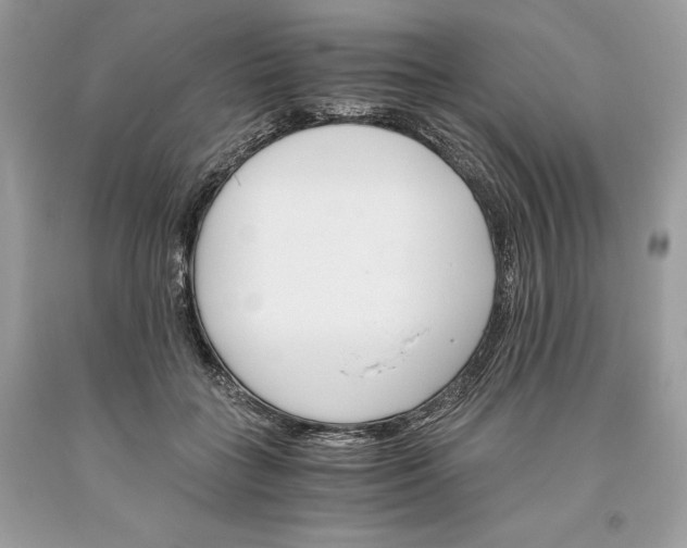 X0000093510555200710261159