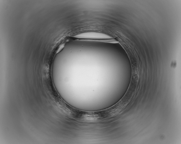 X0000093510556200710261200