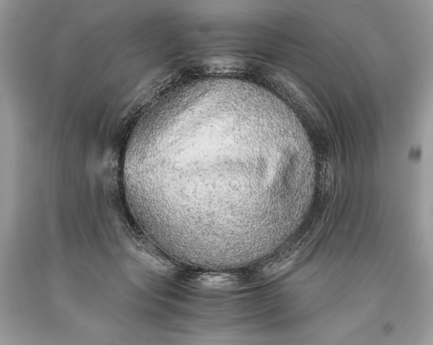 X0000093510557200710261200