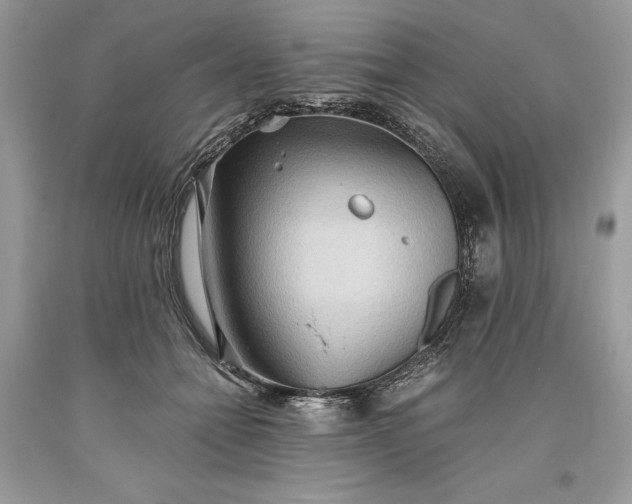 X0000093510558200710261200