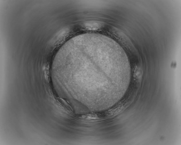 X0000093510559200710261200