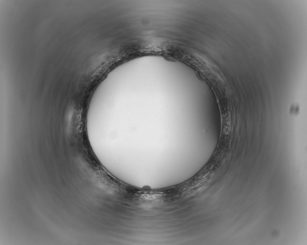 X0000093510560200710261200