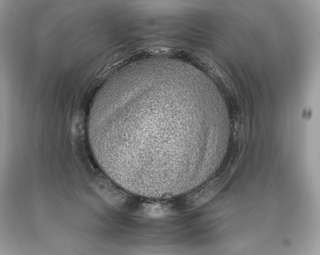 X0000093510561200710261200