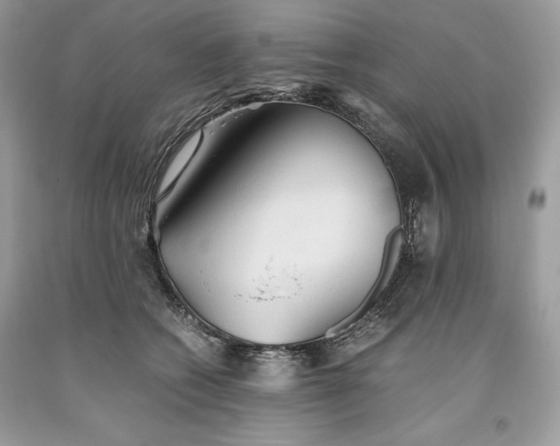 X0000093510562200710261200