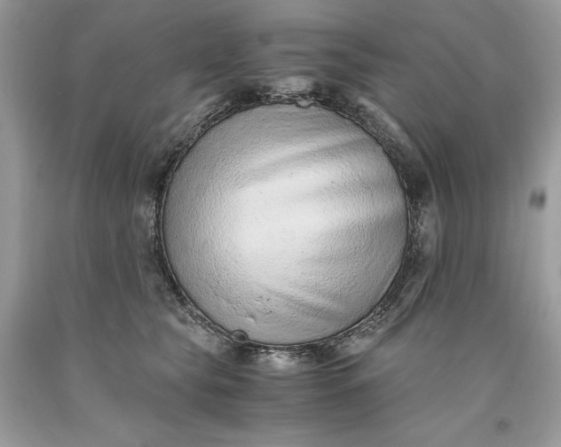 X0000093510565200710261200