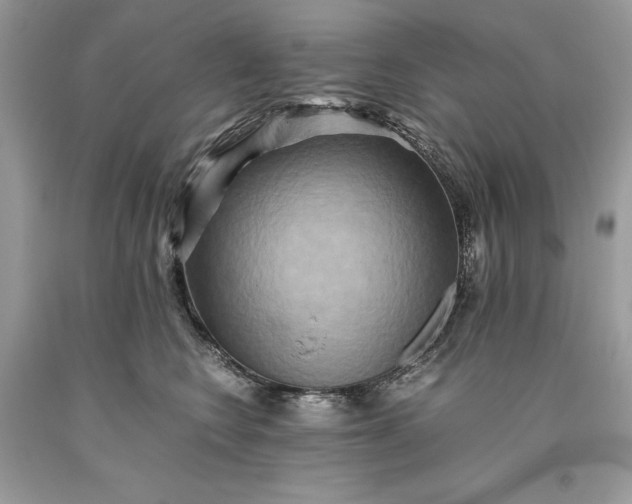 X0000093510566200710261200