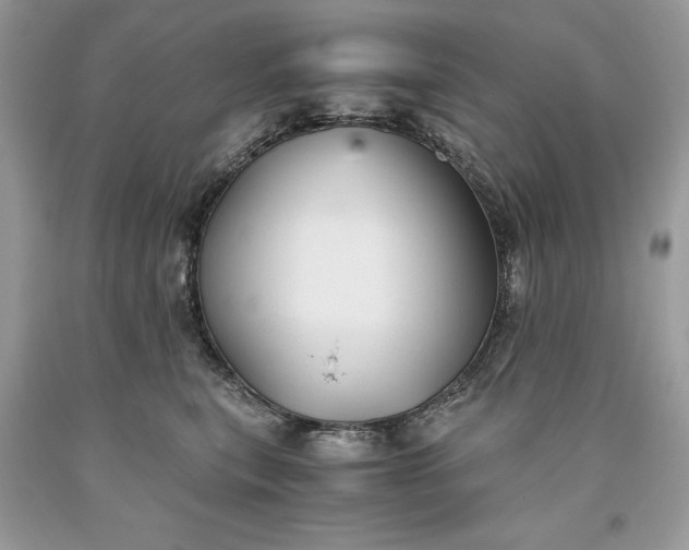 X0000093510567200710261200