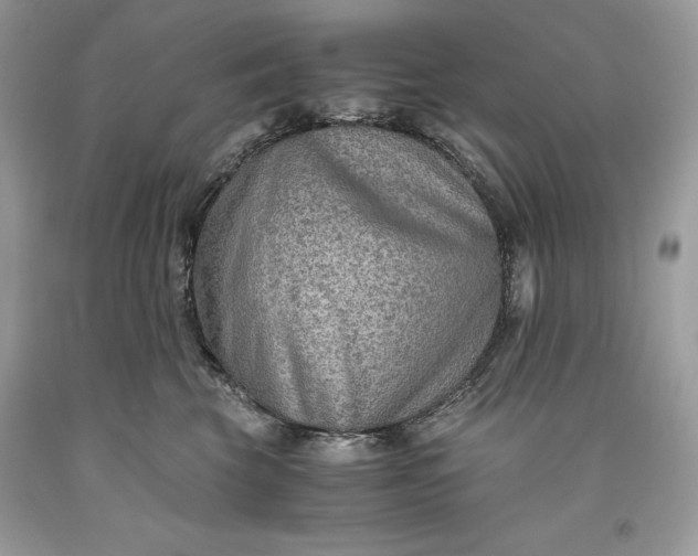 X0000093510569200710261200