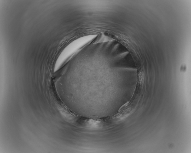 X0000093510570200710261200