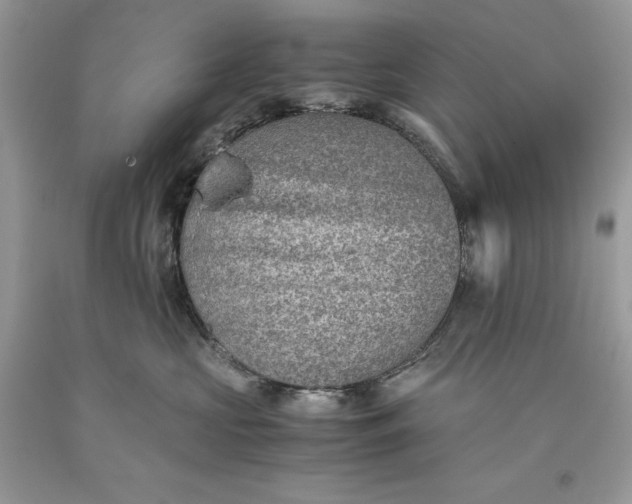 X0000093510573200710261200