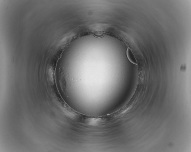 X0000093510575200710261200