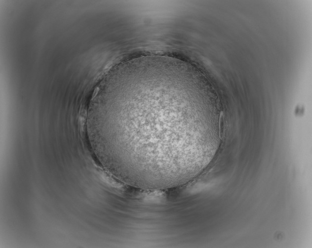 X0000093510576200710261200