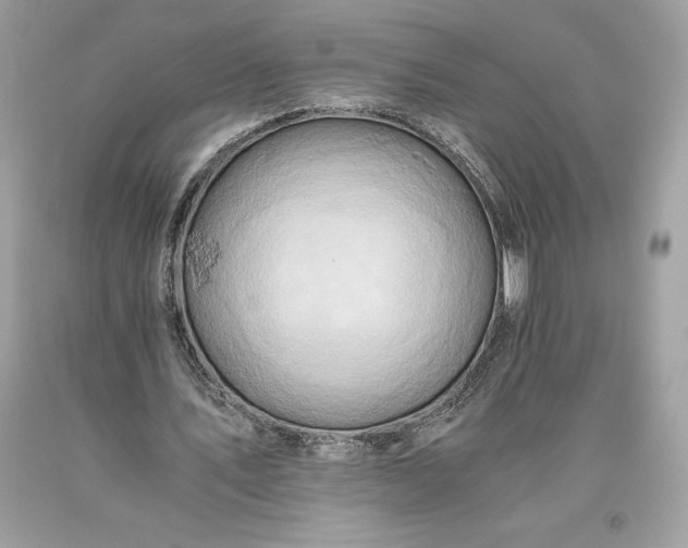 X0000093510579200710261159