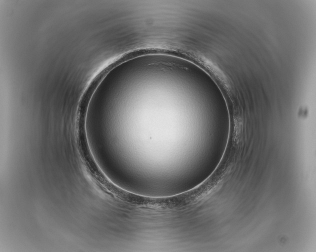 X0000093510580200710261159