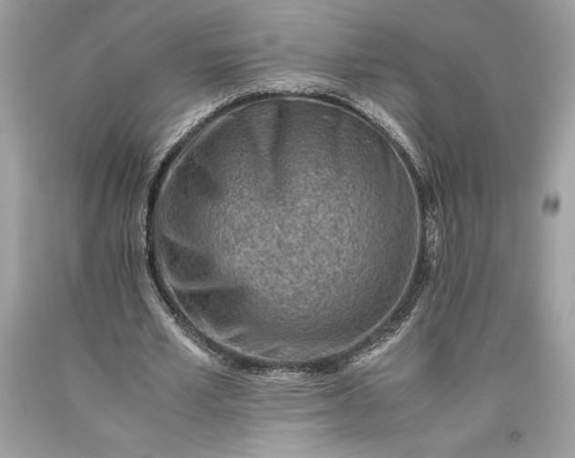 X0000093510581200710261159