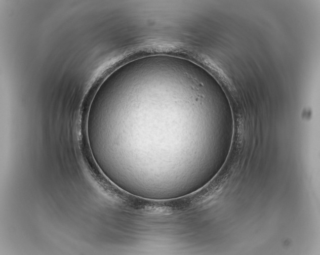 X0000093510582200710261159