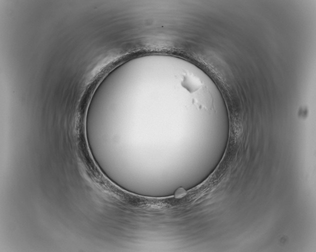 X0000093510583200710261159