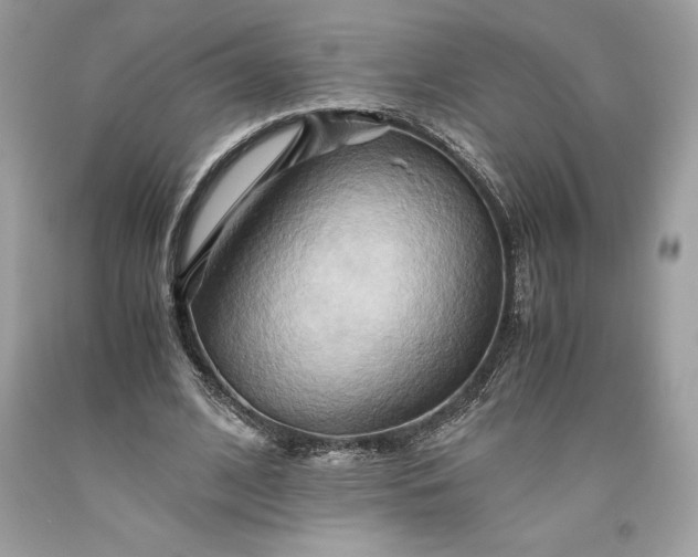 X0000093510584200710261159