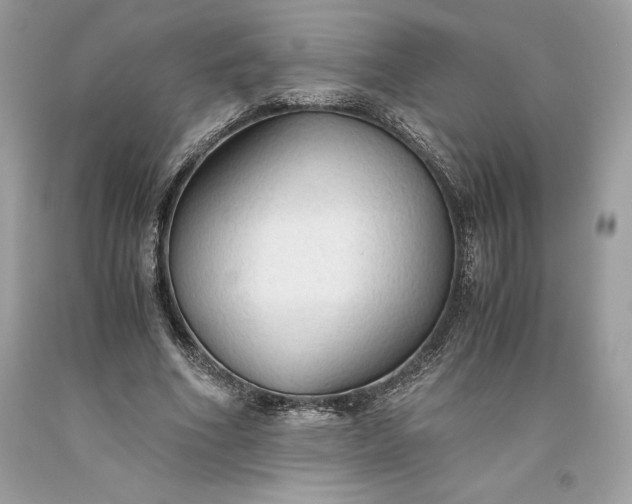 X0000093510586200710261159