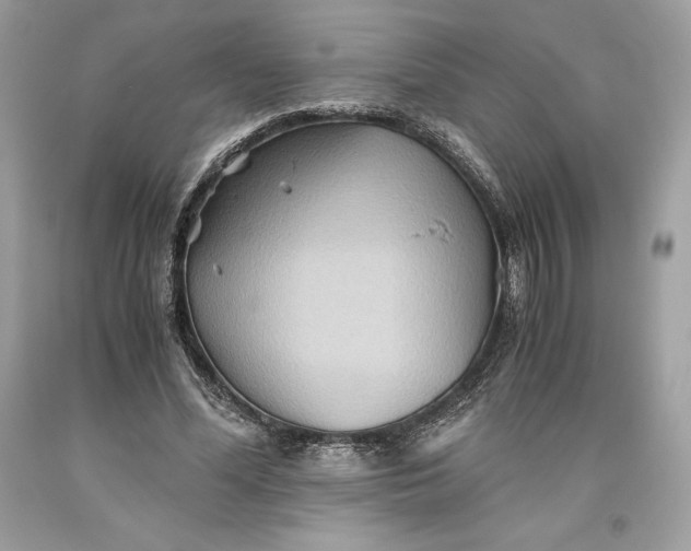 X0000093510588200710261159