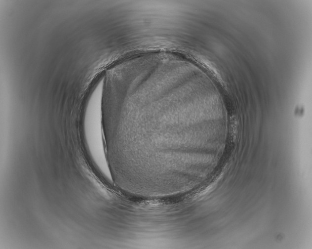 X0000093510589200710261159