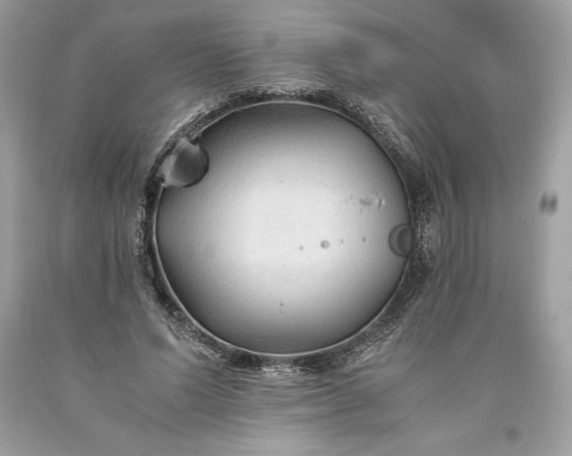 X0000093510591200710261159