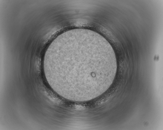 X0000093510592200710261159