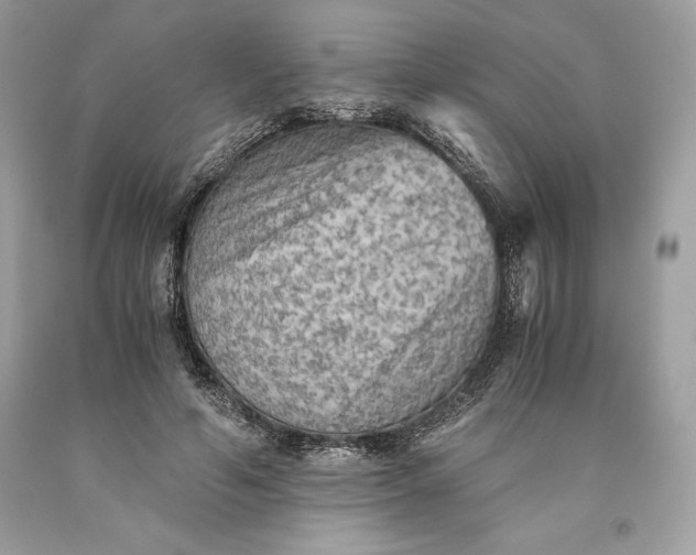 X0000093510594200710261159